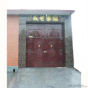 Iron Steel Security Metal Door 1706 of Hot Sale System 1