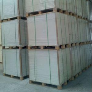 Factory Sell Immediately PE Coated Ivory Paper Good Quality System 1