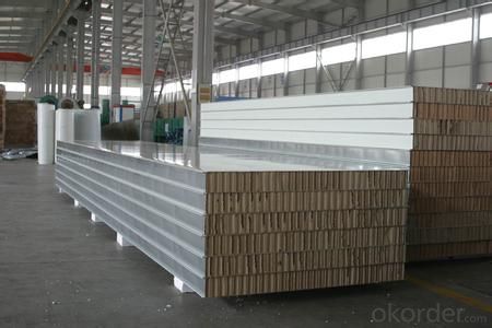 EPS/XPS MGO Sandwich Panels,Structural Insulated Panel(SIP)