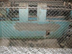 High Zinc Coating Galvanized Chain Link Fencing System 1