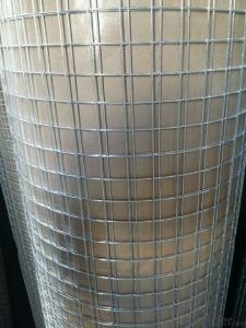 Electro Galvanized Welded Wire Mesh For Fencing