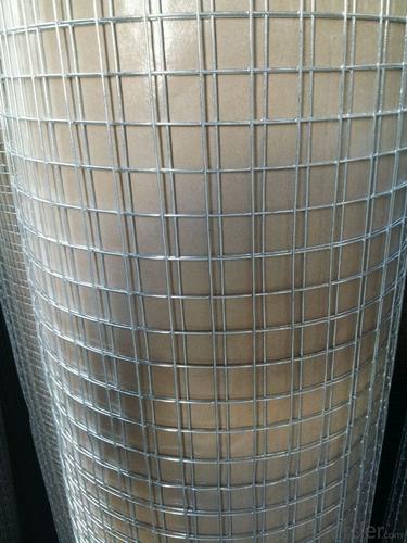 Electro Galvanized Welded Wire Mesh For Fencing System 1