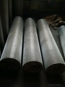 Hot Dipped And Electro Gavanized Welded Wire Mesh