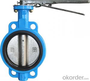 Ductile Iron flanged  Butterfly valve DN120 System 1