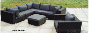 Garden Sofa Furniture Rattan Outdoor Furniture   B-256 System 1