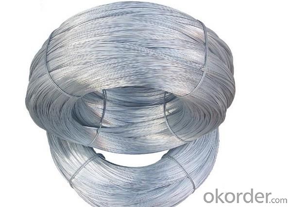 Electro Galvanized Wire With Good Quality