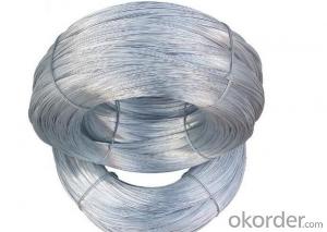 Electro Galvanized Wire With Good Quality System 1