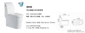 Classic Ceramic S-strap One Piece Toilet - 8048 System 1