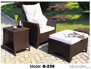 Garden Sofa Furniture Rattan Outdoor Furniture   B-239 System 1