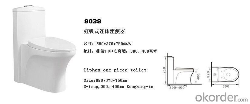 Classic Ceramic S-strap One Piece Toilet - 8038