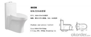 Classic Ceramic S-strap One Piece Toilet - 8038 System 1