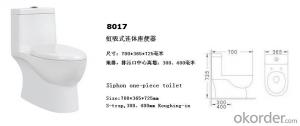 Classic Ceramic S-strap One Piece Toilet - 8017