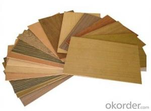 High Pressure Laminate HPL for Wall Panel Decoration