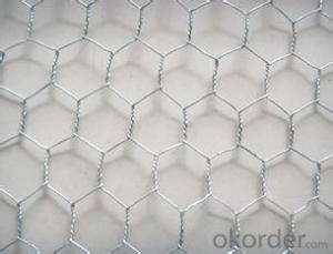 Galvanized Hexagonal Wire Mesh 0.55 mm Gauge