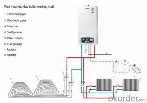 Gas Boiler  For Home Floor Heating System L1P50-B1
