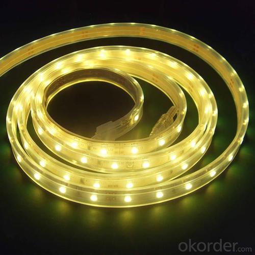 LED Strip Light DC 12V/24V,SMD 3528-60 LEDS PER METER  IP65 PU GLUE OUTDOOR System 1