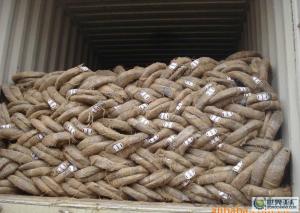 High Quality Electric Galvanized Iron wire