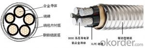 Interlocked armored alloy cables armored 90 ℃XLPE insulated single System 1