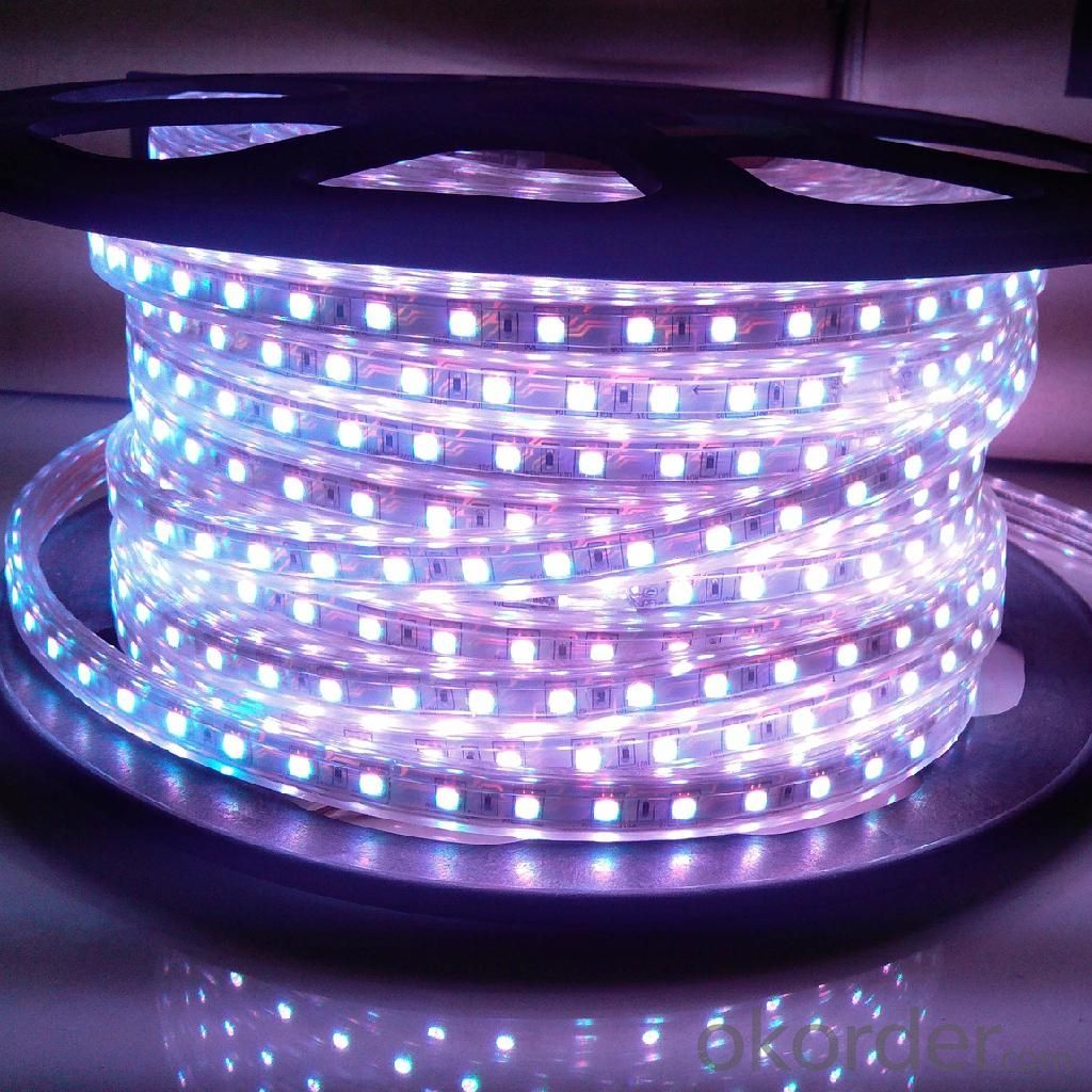  LED  Strip Light  DC 12V 24V SMD 3528 60 LEDS PER METER IP68 