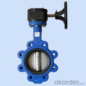 Lug Type Butterfly Valve Without Pin Ductile Iron DN80
