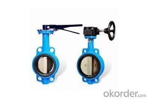 Lug Type Butterfly Valve Without Pin Ductile Iron DN190 System 1