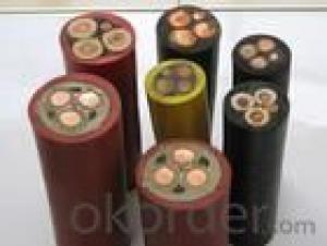 rated voltage 1KV and 3KV,6-15KV power cable,rated voltage 150/250V  control and instrumentation System 1
