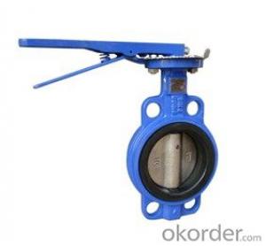 Lug Type Butterfly Valve Without Pin Ductile Iron DN110