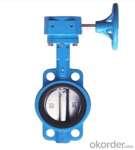 Butterfly Valve Turbine Type DN250 with Hand Wheel BS Standard System 1