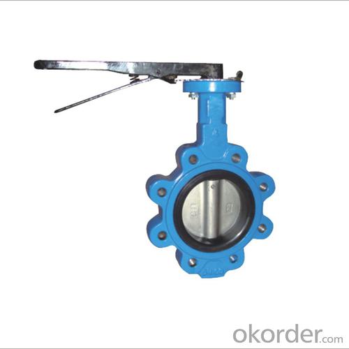 Lug Type Butterfly Valve Without Pin Ductile Iron DN100 System 1