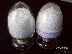 sodium allyl sulfonate（SAS）--Big manufacturer System 1