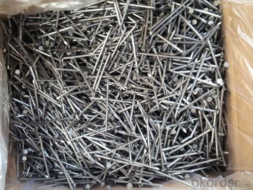 Good Quality Polished Common Round Nail 1'' System 1