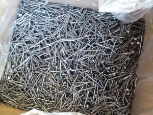 Headless Nail /Lost Head Nail/ Common Wire Nail Without Head System 1