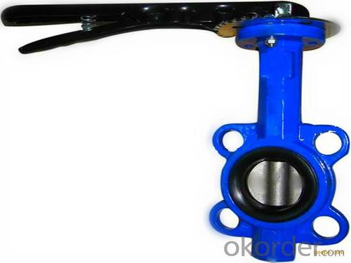 Butterfly Valve Without Pin Ductile Iron DN290 System 1