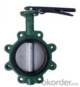 DN100 Wafer Type Butterfly Valve BS Standard System 1