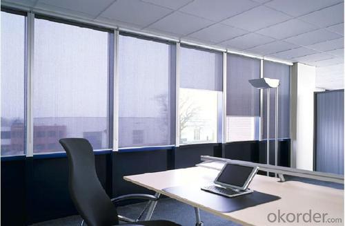 New Style Chain Control Roller Blinds for Indoor Sunshade System 1