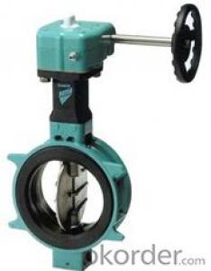 DN600 Turbine Type Butterfly Valve with Hand wheel BS Standard System 1