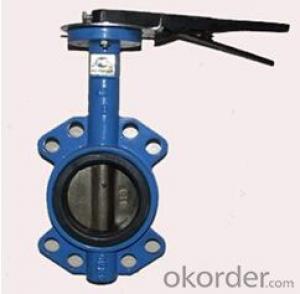 DN65 Wafer Type Butterfly Valve BS Standard System 1