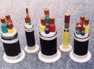 Control Cable of Rated Voltage up to and Including 450/750V