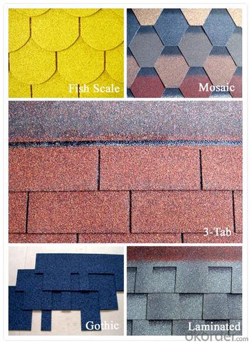 China asphalt roof shingle good supplier System 1