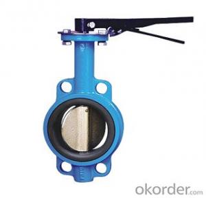 DN40 Wafer Type Butterfly Valve BS Standard System 1