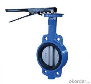 DN80 Wafer Type Butterfly Valve BS Standard System 1