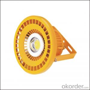 Customized High Power LED Explosion-proof Light