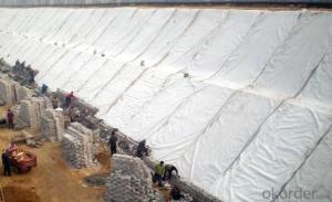 PP Woven Geotextile for Tunnel Engineering System 1