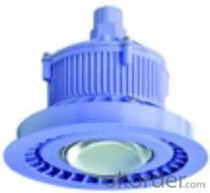 LED Explosion Proof Lamp Series    POWER:5W-18W System 1