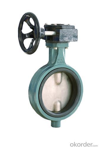 The Gear Wafer Butterfly Valve DN25-DN1200 System 1