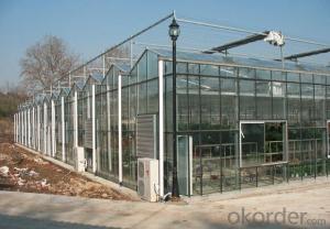Economical greenhouse/Vegetable greenhouse