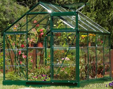 Commercial polycarbonate greenhouse for flower System 1