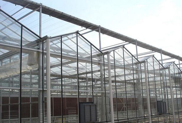 Commercial polycarbonate garden greenhouse System 1
