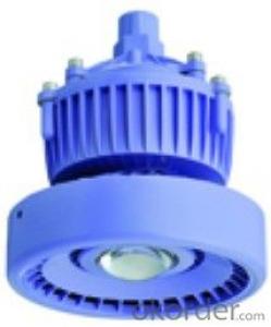 LED Explosion Proof Emergency Light Series    POWER:5W-18W System 1