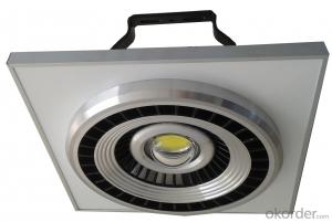 LED Gase Station Lamp Series    POWER:50W-120W